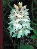 Wild orchids of Scotland