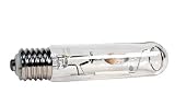 Coralife Mogul Base Metal Halide Lamp, 250W, 10K