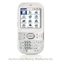 Palm Centro, White, CSM/EDGE North America