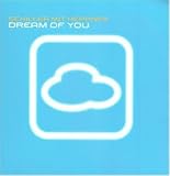 Dream of You [Vinyl Single] - Schiller mit Heppner