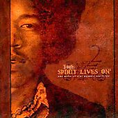Click here to buy The Spirit Lives On: Music of Jimi Hendrix Revisited, Vol. 2 by  Various Artists .