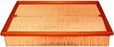 Hastings AF1165 Panel Air Element