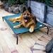 Pet Supplies : Coolaroo 434410 3ft 6in x 2ft 6in Large Steel Framed Pet Bed - Terracotta Cover
