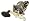 SHIMANO TEKOTA 800 LEVELWIND TROLLING REEL