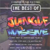 Jungle Massive