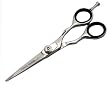 Body Toolz 5 1/2" Hair Cutting Shear