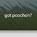 Got Poochon? White Sticker Bichon Frise Poodle Laptop Vinyl White Decal