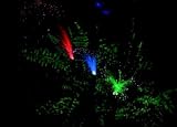 FiBeR oPTiC Garden PLANT STAKE random flashing LIGHTS B