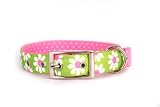 Yellow Dog Design Uptown Collar, Small, Green Daisy on Pink Polka, Small Dots