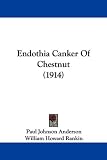 Endothia Canker Of Chestnut (1914)