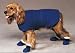 93-Bxl Wtrproof Wrap Blue Xl 12