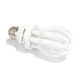 Evolution 20 Watt CF Full Spectrum Fluorescent Bulb