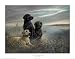 All Grown Up on Grassy Sound Animals Art Poster Print by Ruane Manning, 20x16