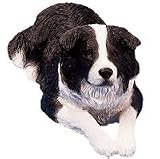 Sandicast Border Collie Original Size Figurine