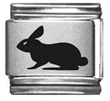 Clearly Charming Rabbit Laser Italian Charm