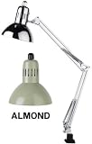 LAMPS BEAUTIFUL Contemporary Office Task Desk Study Swing Arm Light by Litesource--Beige--Excellent customer service--see our feedback.
