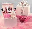 Relaxation Spa Bath & Body Care Package Gift Basket with Teddy Bear