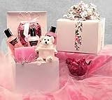 Relaxation Spa Bath & Body Care Package Gift Basket with Teddy Bear