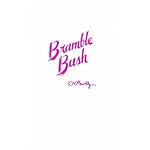 Bramble Bush: On Our Law and Its Study book cover