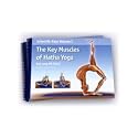 The Key Muscles of Hatha Yoga