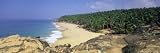 Coconut Palms and Beach, Kovalam, Kerala State, India, Asia Photographic Poster Print