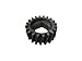 Small Bevel Wheel