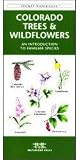 Colorado Trees & Wildflowers - -