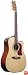Washburn Dreadnought Cutaway Acoustic Electric - w/ gig bag, strap, picks