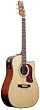Washburn Dreadnought Cutaway Acoustic Electric - w/ gig bag, strap, picks