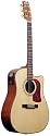 Washburn Dreadnought Cutaway Acoustic Electric Guitar - with Gig Bag, Strap and Picks