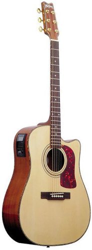 Washburn Dreadnought Cutaway Acoustic Electric Guitar - with Gig Bag, Strap and Picks