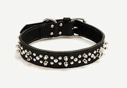 Harley Davidson&reg; Leather Spike Collar - 1 1/2" x 26"