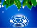 Zen of Stress Reduction & Relaxation Self Hypnosis Stress Management CD