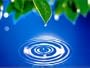 Zen of Stress Reduction & Relaxation Self Hypnosis Stress Management CD