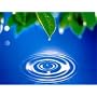 Zen of Stress Reduction & Relaxation Self Hypnosis Stress Management CD