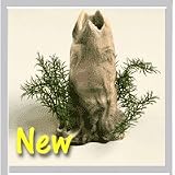 biOrb Volcano with Plants - Regular