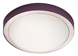 Ascot 2 light Energy saving flush luminaire
