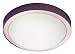 Ascot 2 light Energy saving flush luminaire