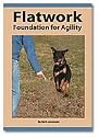 Flatwork Foundation for Agility