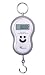Portable Digital Fishing/Luggage/parcel Scale 40Kg