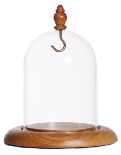 Pocket Watch Glass Display Dome with Hook, Oak Base & knob