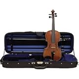 Ren Wei Shi Artist Model 1 Violin With Arcolla Bow & Bellafina Euro Case