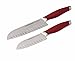 Rachael Ray Cucina Cutlery 2-Piece Japanese Stainless Steel Santoku Knife Set