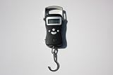 American Weigh H-110 Electronic Fish Hanging Scale (110 lbs x 0.05 lbs)