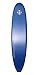 Body Glove Surf Board (7' 8