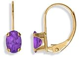 14KT .90CT Amethyst Leverback Earrings
