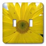 Patricia Sanders Flowers - yellow flower macro - Light Switch Covers - double toggle switch