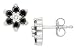1/2 Carat Black and White Diamond 14K White Gold Earrings