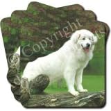 PYRENEAN MOUNTAIN DOG Set of 4 Coasters