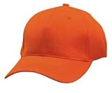 Sport Flex Athletic Mesh Cap
